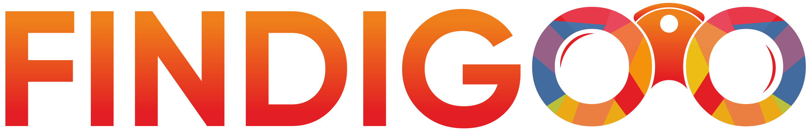 Director, Findigoo Infotainment Pvt Ltd