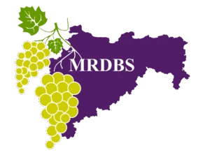 Logo 11